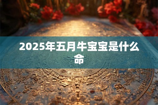 2025年五月牛宝宝是什么命 2025年五月牛宝宝是什么命