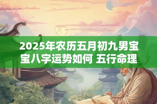 2025年农历五月初九男宝宝八字运势如何 五行命理详解