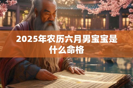 2025年农历六月男宝宝是什么命格