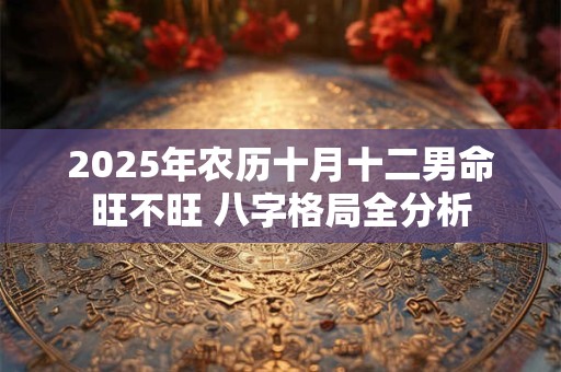 2025年农历十月十二男命旺不旺 八字格局全分析