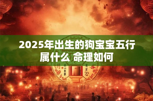 2025年出生的狗宝宝五行属什么 命理如何