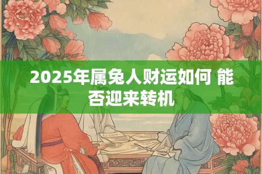 2025年属兔人财运如何 能否迎来转机