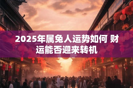 2025年属兔人运势如何 财运能否迎来转机