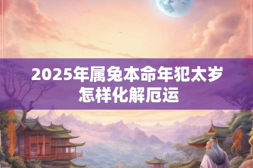 2025年属兔本命年犯太岁 怎样化解厄运