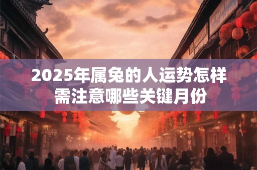 2025年属兔的人运势怎样 需注意哪些关键月份