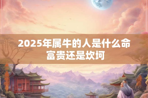 2025年属牛的人是什么命 富贵还是坎坷