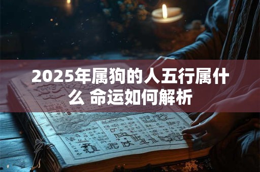 2025年属狗的事业运如何 财运能否大爆发 2025年属狗的事业运如何 财运能否大爆发