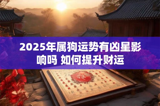 2025年属狗运势有凶星影响吗 如何提升财运