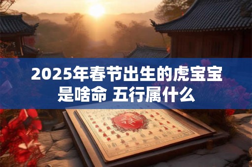 2025年春节出生的虎宝宝是啥命 五行属什么