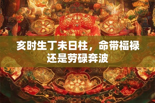 亥时生丁未日柱，命带福禄还是劳碌奔波