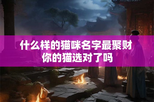 什么样的猫咪名字最聚财 你的猫选对了吗