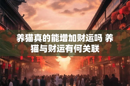养猫真的能增加财运吗 养猫与财运有何关联