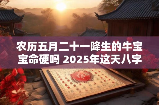 农历五月二十八出生的人命运如何 财运事业能否一帆风顺