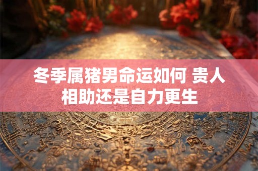 冬季属猪男命运如何 贵人相助还是自力更生