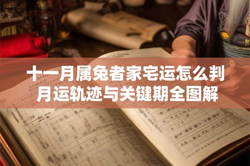 十一月属兔者家宅运怎么判 月运轨迹与关键期全图解