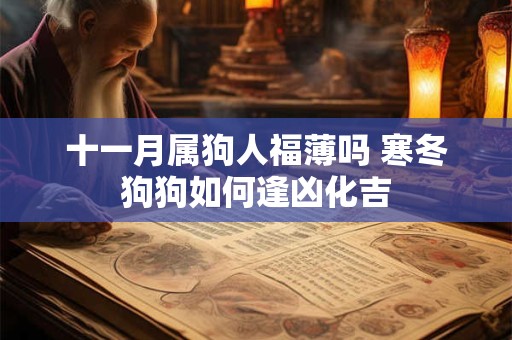 十一月属狗人福薄吗 寒冬狗狗如何逢凶化吉