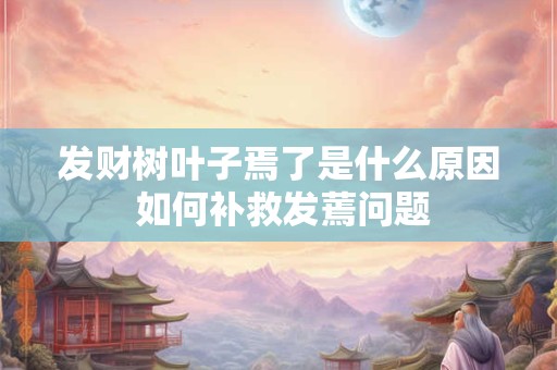 发财树叶子焉了是什么原因 如何补救发蔫问题