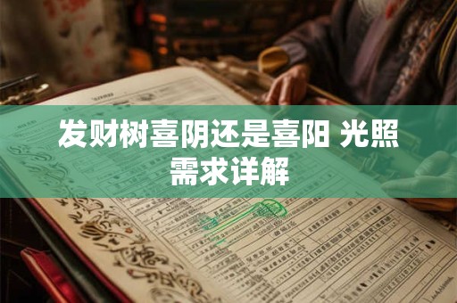 发财树喜阴还是喜阳 光照需求详解