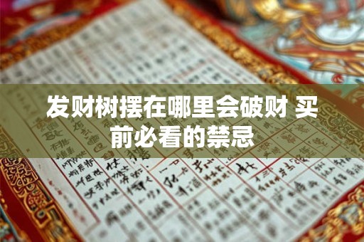 发财树摆对了才旺运 这些风水秘密你知道吗