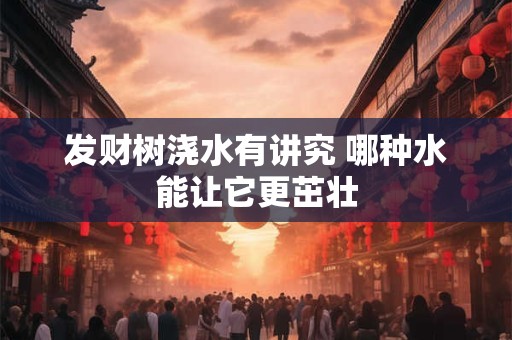 发财树浇水有讲究 哪种水能让它更茁壮