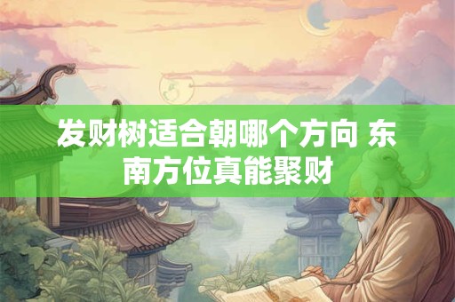 发财树风水效益如何 能带来多少好运