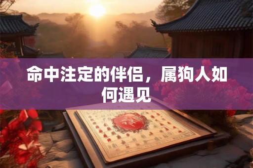 命中注定的伴侣，属狗人如何遇见