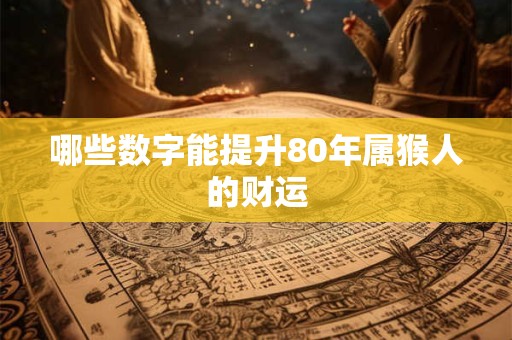 哪些数字能提升80年属猴人的财运