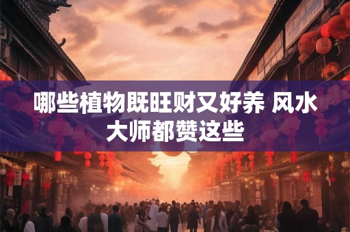 哪些植物既旺财又好养 风水大师都赞这些