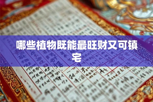 哪些植物既能最旺财又可镇宅