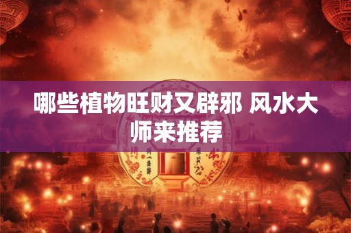 哪些植物旺财又辟邪 风水大师来推荐 哪些植物旺财又辟邪 风水大师来推荐