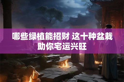 哪些绿植能招财 这十种盆栽助你宅运兴旺