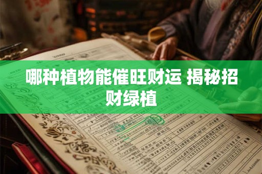 哪种灵龟镇宅招财效果最佳 第一名竟是它