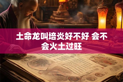 土命龙叫培炎好不好 会不会火土过旺