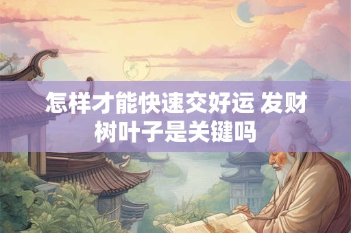 怎样才能快速交好运 发财树叶子是关键吗