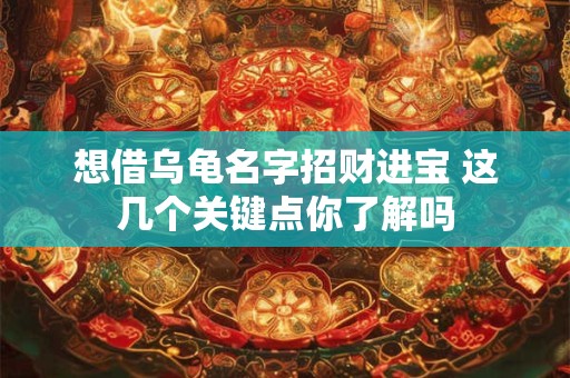 想借乌龟名字招财进宝 这几个关键点你了解吗