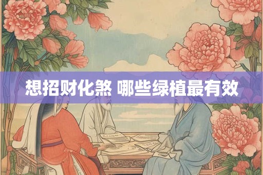 想招财化煞 哪些绿植最有效