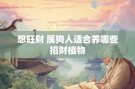 想旺财 属狗人适合养哪些招财植物