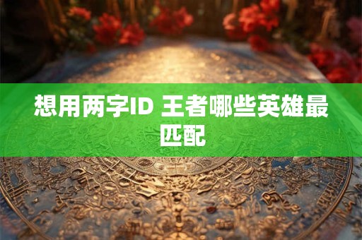 想用两字ID 王者哪些英雄最匹配