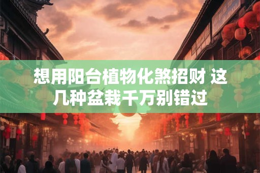 想用阳台植物化煞招财 这几种盆栽千万别错过