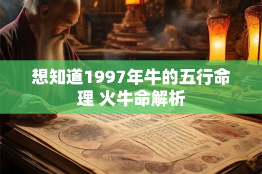 想知道1997年牛的五行命理 火牛命解析