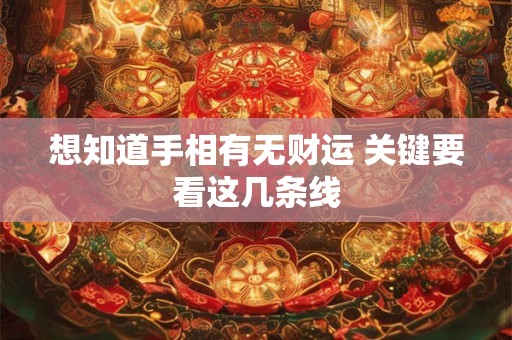 想知道手相有无财运 关键要看这几条线