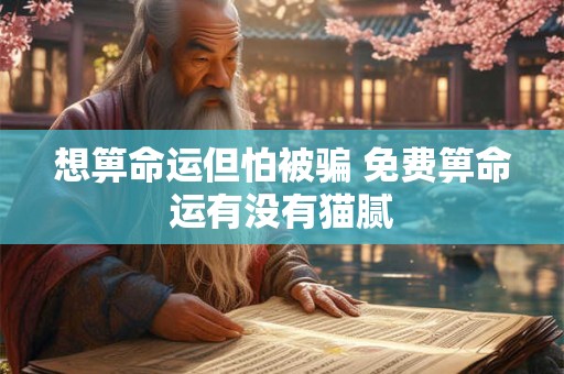 想箅命运但怕被骗 免费箅命运有没有猫腻