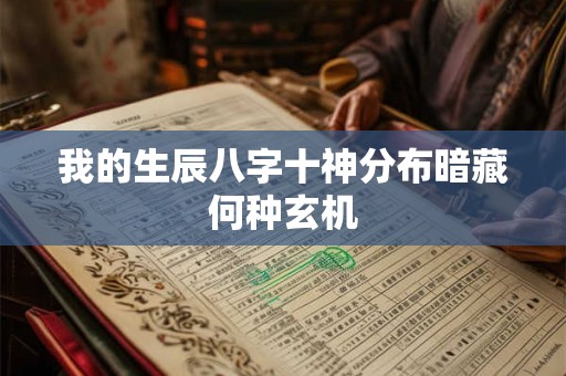 我的生辰八字十神分布暗藏何种玄机