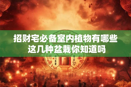招财宅必备室内植物有哪些 这几种盆栽你知道吗