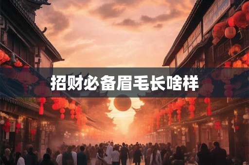招财必备眉毛长啥样