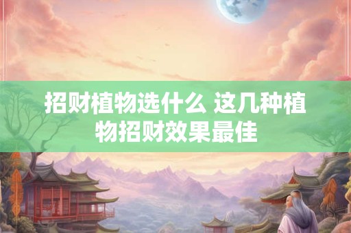 招财植物选什么 这几种植物招财效果最佳