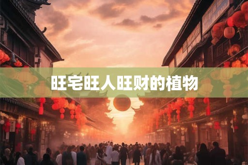 旺宅旺人旺财的植物
