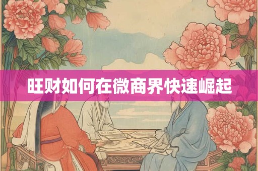 旺财如何在微商界快速崛起