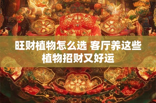 旺财植物怎么选 这些品种招财又好运