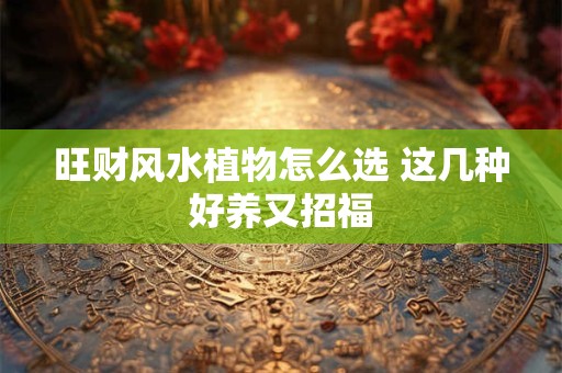 旺财风水植物怎么选 这几种好养又招福